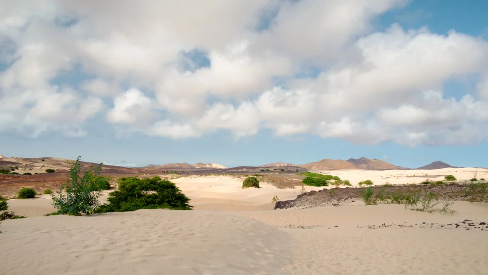 Scène de vie locale sur l’île de Boa Vista au Cap-Vert