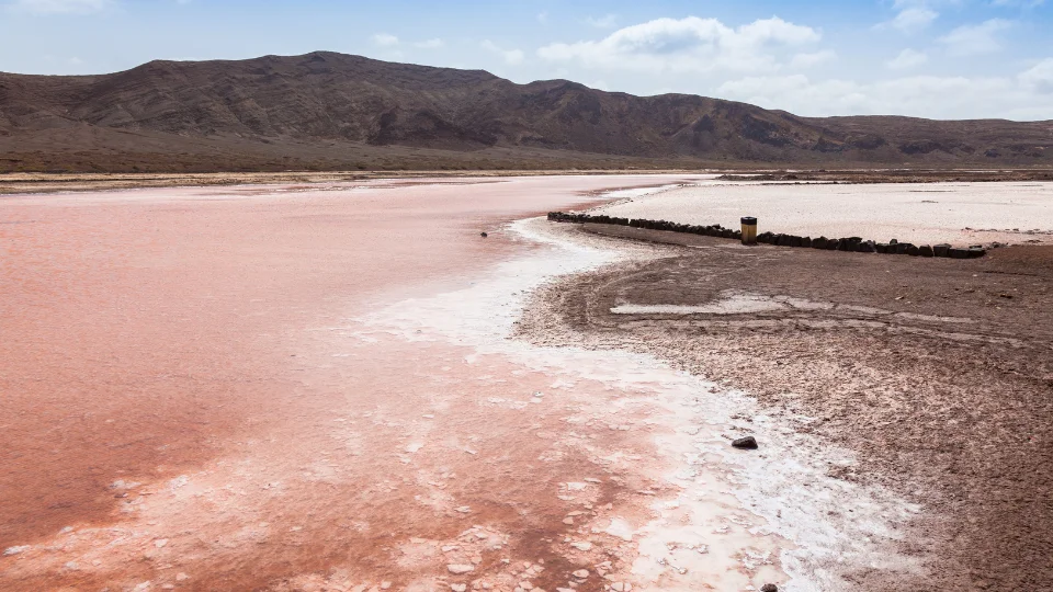 Marché local et étals de poisson sur l’île de Sal
