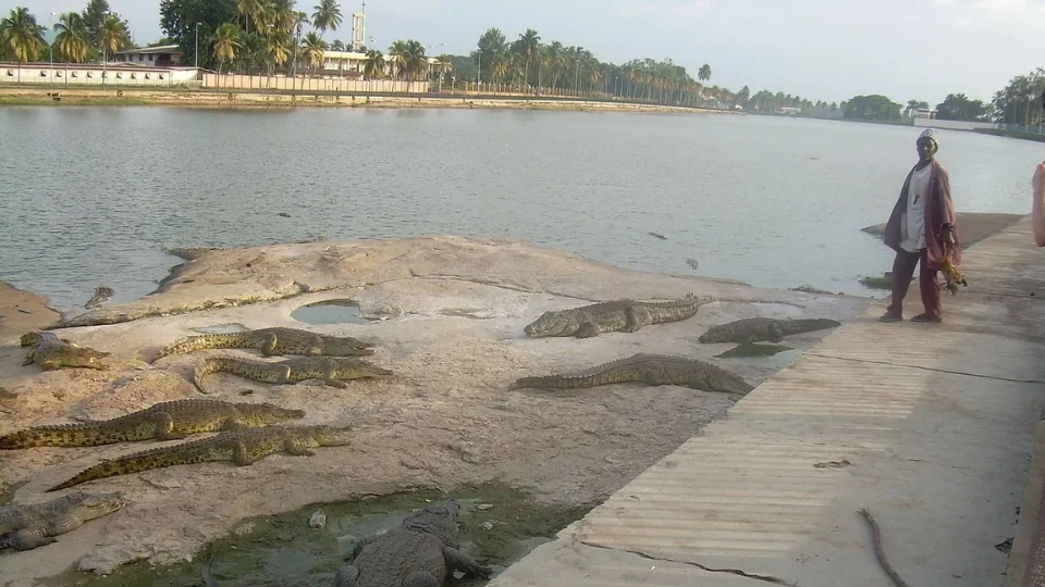 Basilique Notre-Dame de la Paix dominant la ville de Yamoussoukro