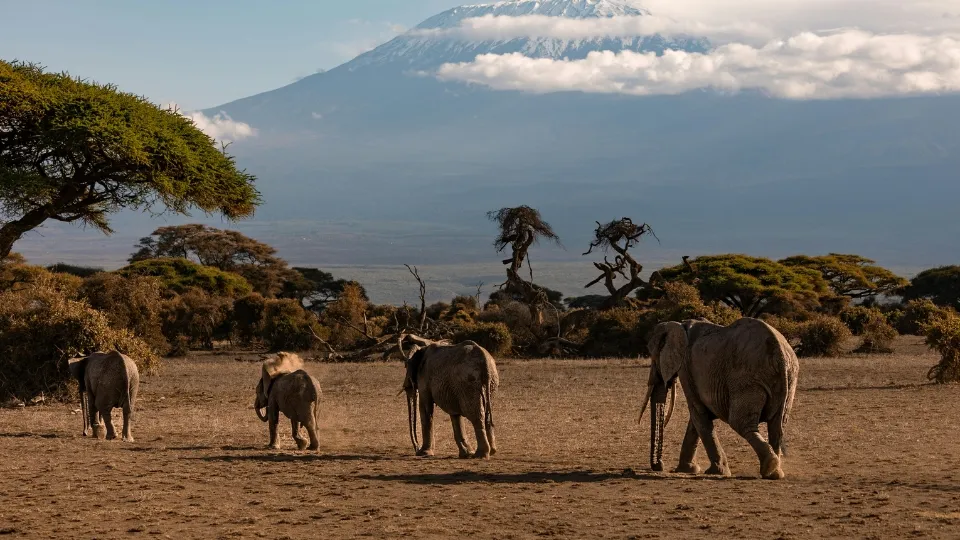Scène de marché et vie quotidienne près du parc d’Amboseli au Kenya