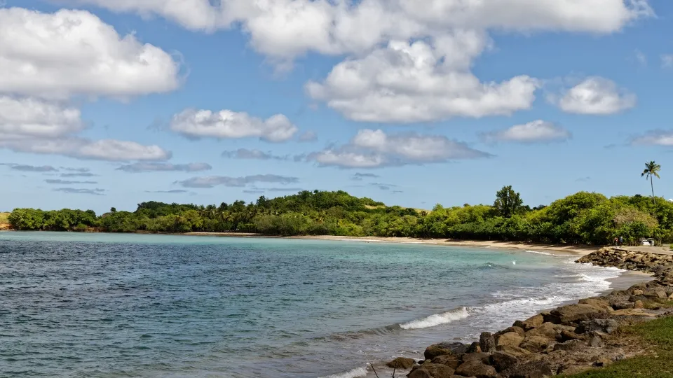 Vue générale du Nord Atlantique Martinique entre côtes battues par l’Atlantique et baies protégées