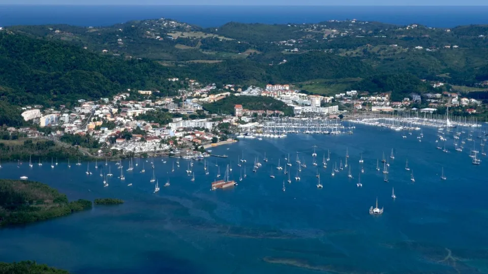 Plage bordant le lagon et cocotiers sur la côte Sud Atlantique de la Martinique