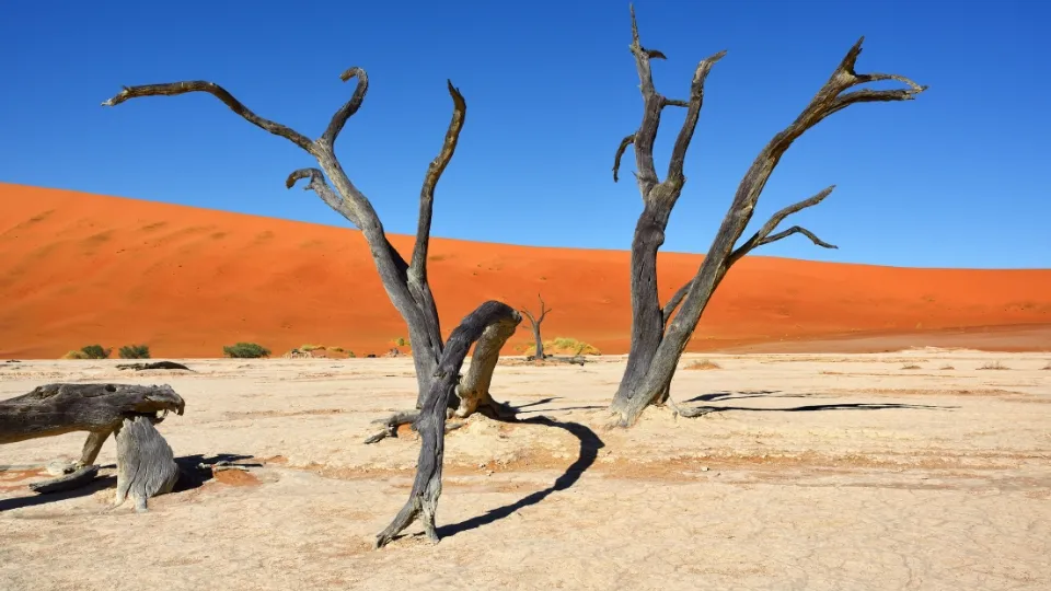 Vue générale de Sossusvlei et du désert du Namib avec dunes et plaines arides