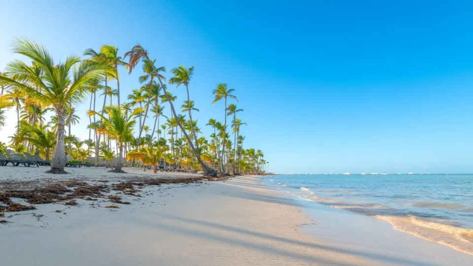 Vue générale des plages et hôtels de Punta Cana et Bavaro en République dominicaine