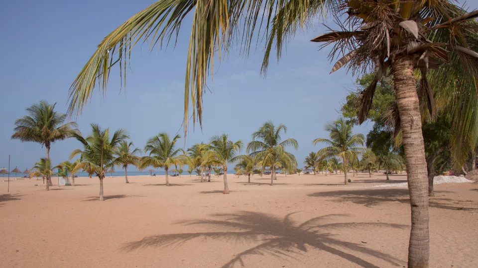 Lagune et mangroves le long de la Petite Côte au Sénégal