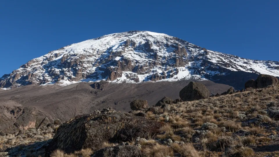 Marché local près du Kilimandjaro en Tanzanie