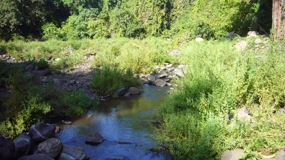 Vue de Lake Manyara depuis l’escarpement de la vallée du Rift en Tanzanie