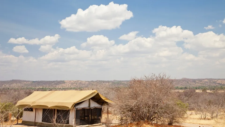 Paysage de savane et baobabs dans le parc de Ruaha en Tanzanie